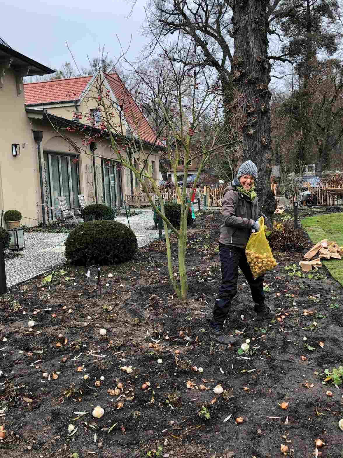 Zwiebelpflanzung - Dezember 2021