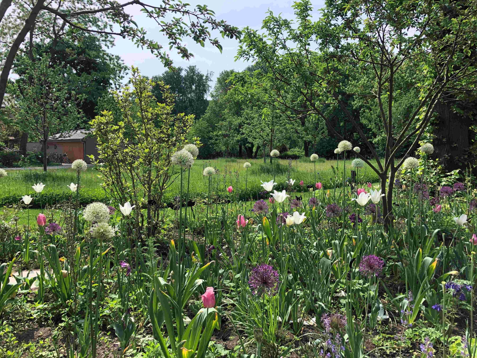 Staudenbeete im Mai 2022