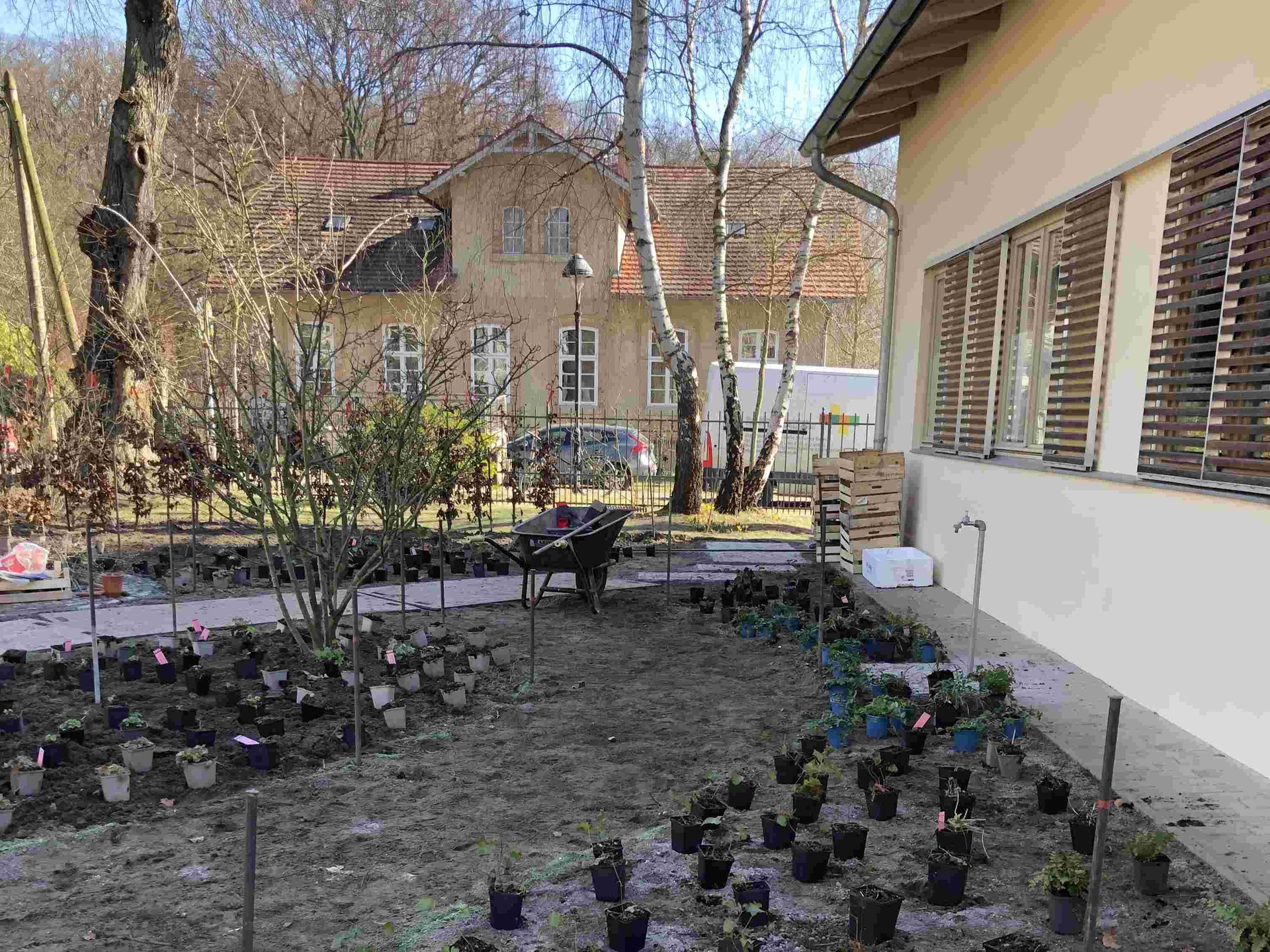 Pflanzarbeiten im März 2022