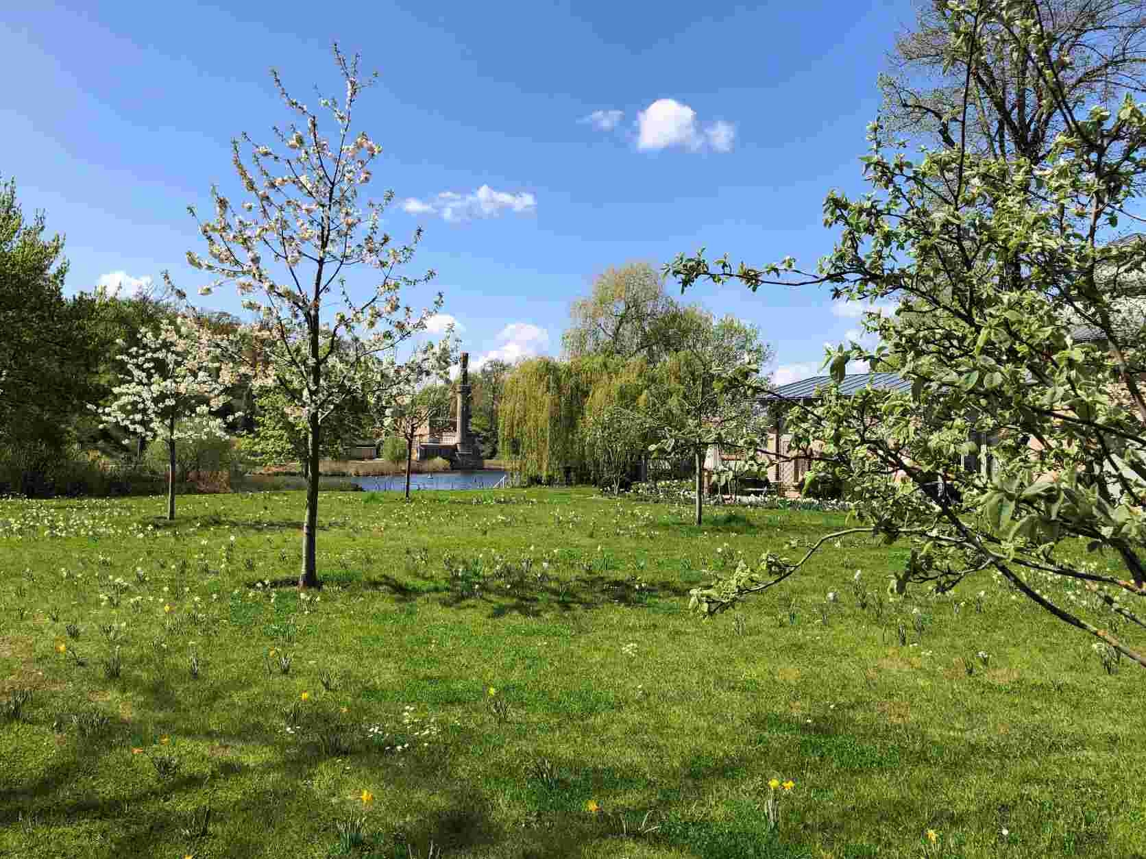 Frühling auf der Obstwiese - April 2021