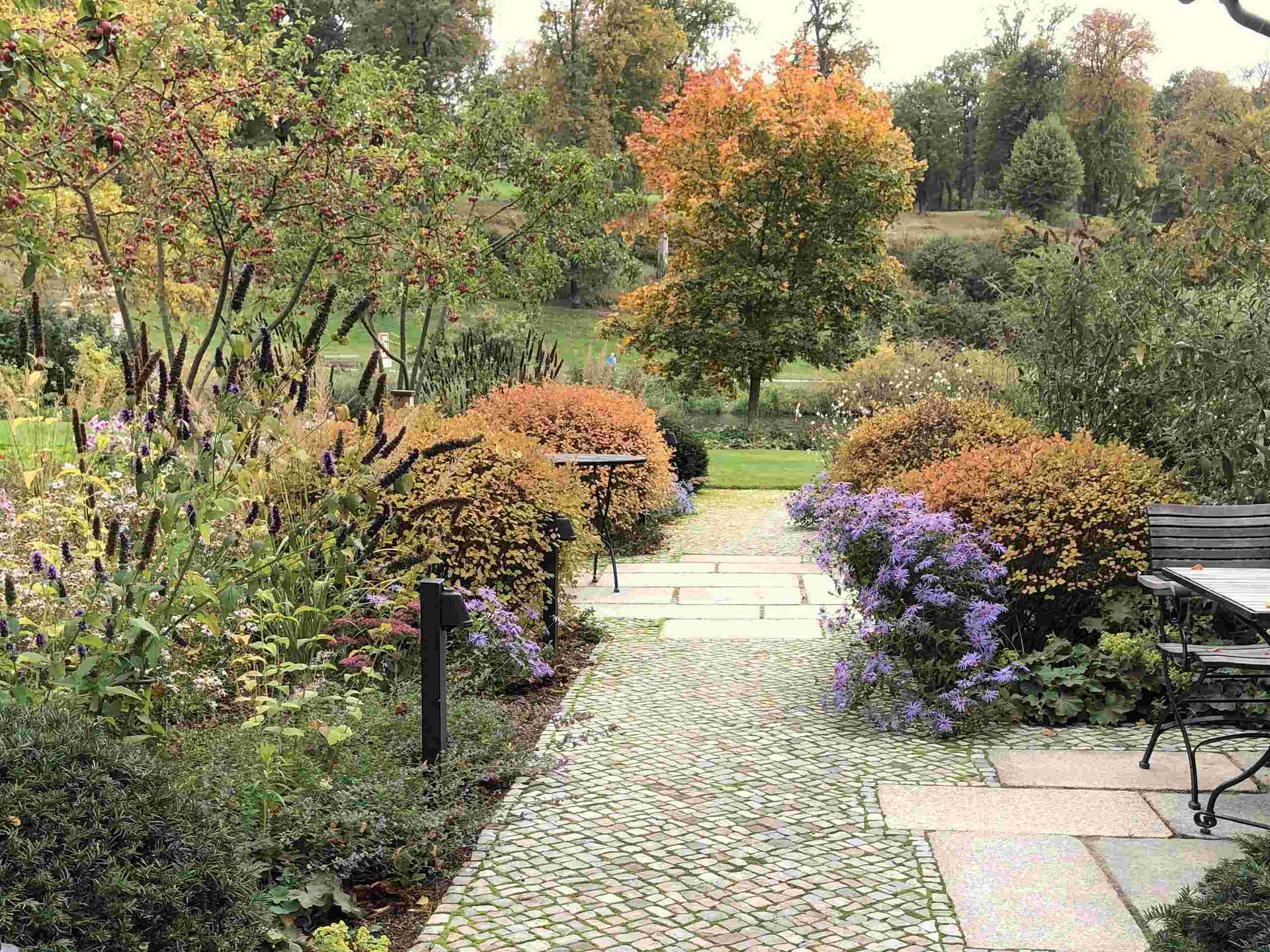 Zierapfelrabatte im Oktober 2022