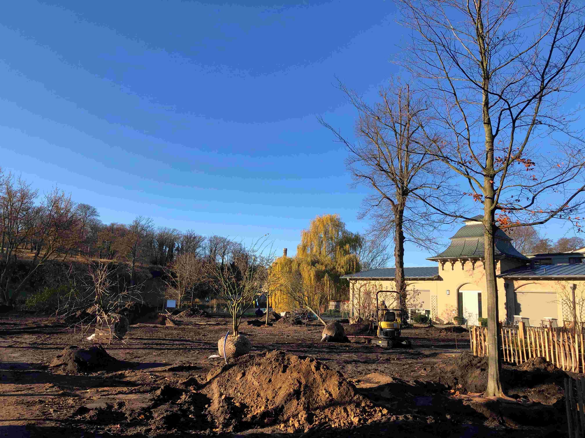 Pflanzung Obstbäume - November 2021