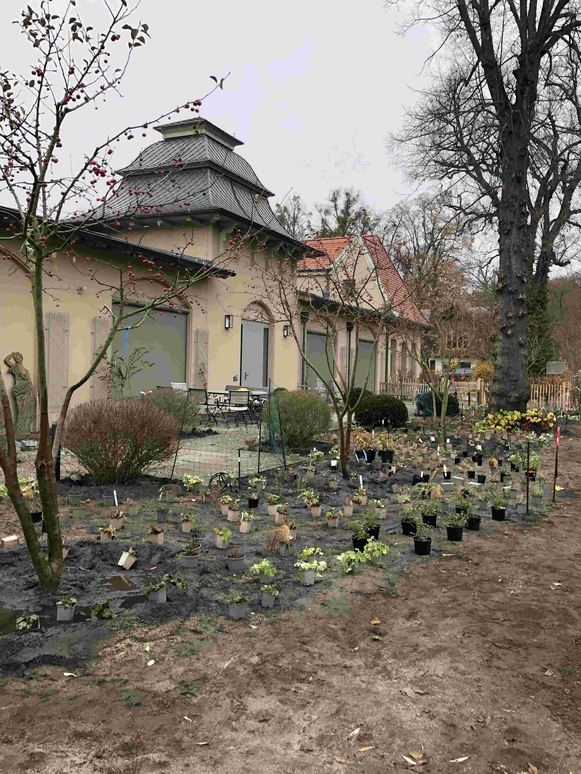 Staudenpflanzung am Haus - November 2021