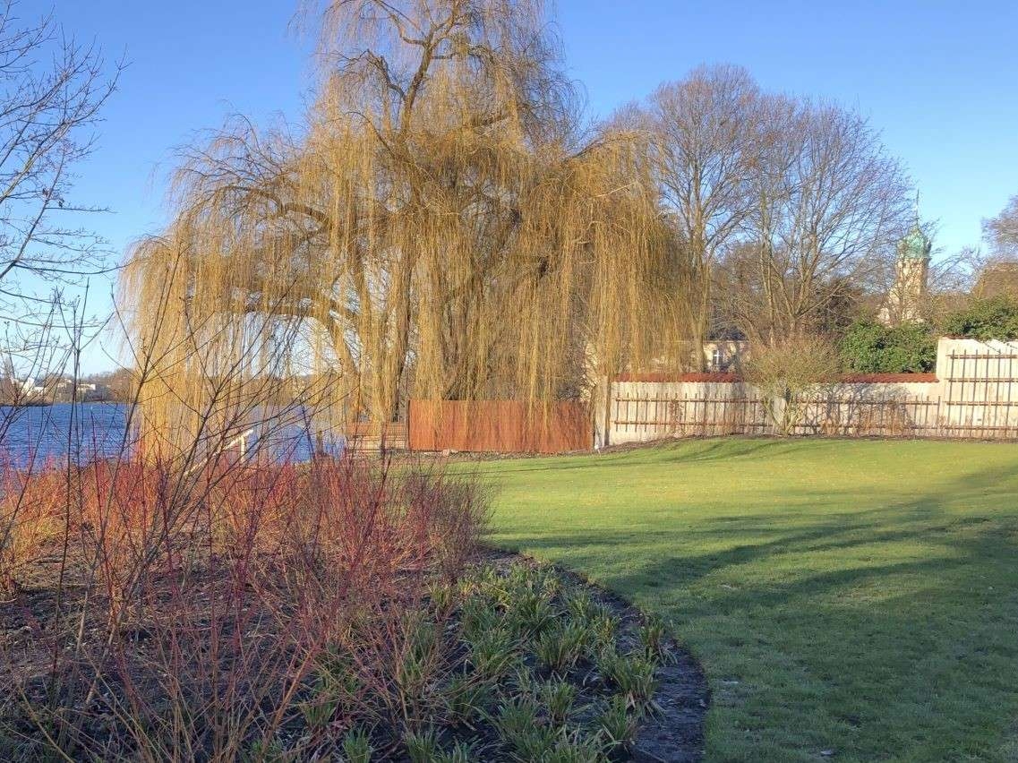 Winterschlaf - Januar 2022